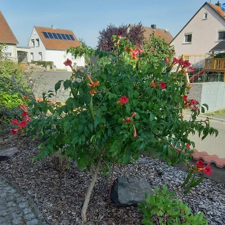 Ferienwohnung Maroldsweisach Maroldsweisach